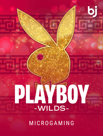 Playboy Wildspng game thumbnail
